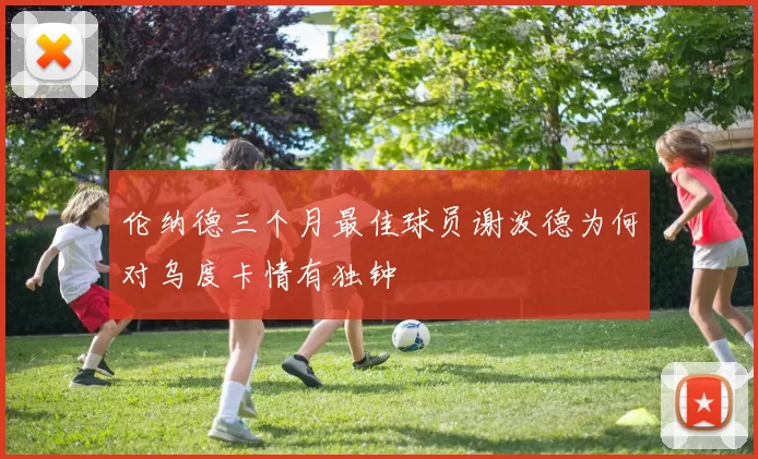 伦纳德三个月最佳球员谢泼德为何对乌度卡情有独钟