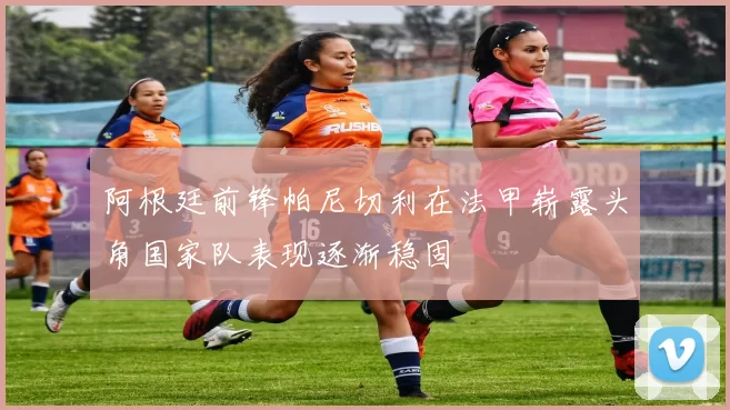 阿根廷前锋帕尼切利在法甲崭露头角国家队表现逐渐稳固